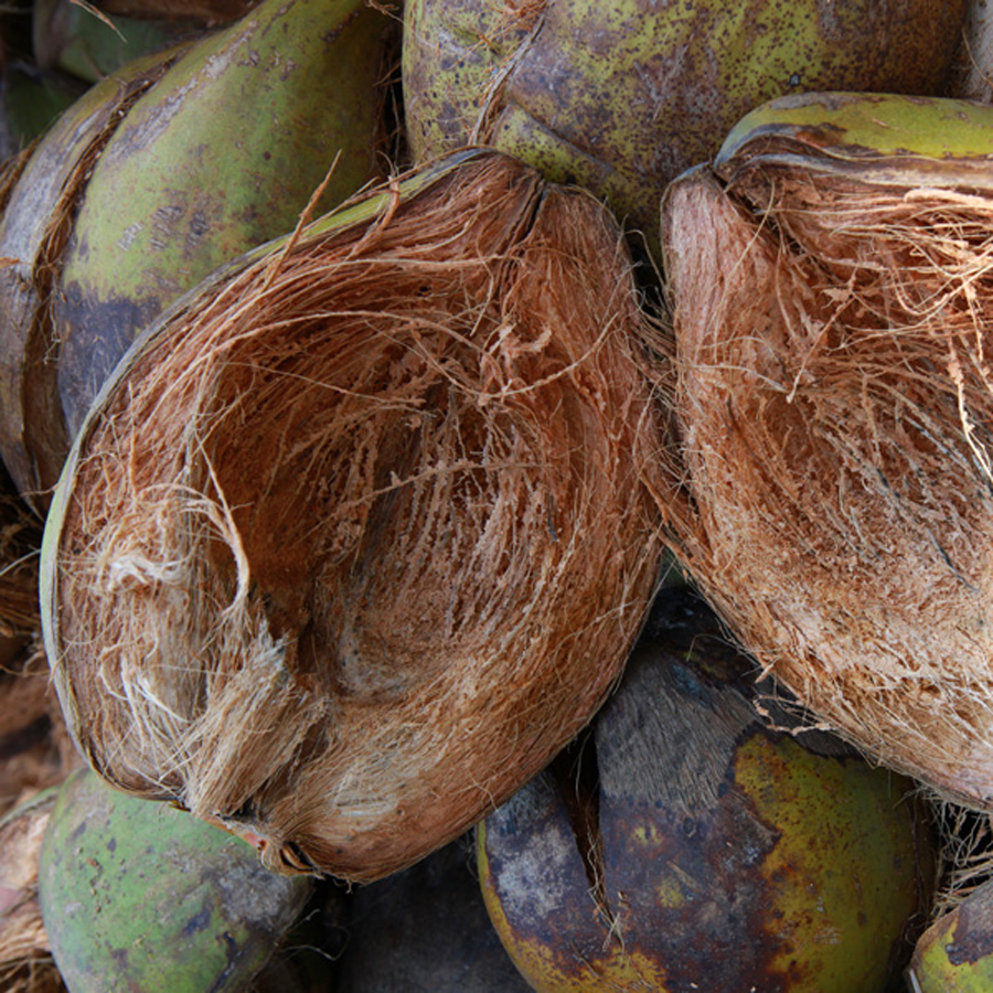 Coir Husk