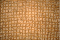 example image