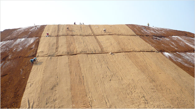 example image