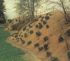 example image